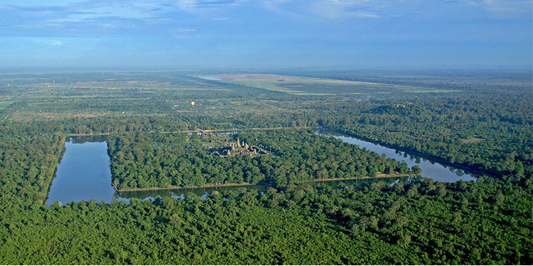 តំបន់រមណីយដ្ឋានអង្គរ ត្រូវការព្រៃឈើបន្ថែមទៀត ខណៈបច្ចុប្បន្នមានតែ១៤ភាគរយប៉ុណ្ណោះ