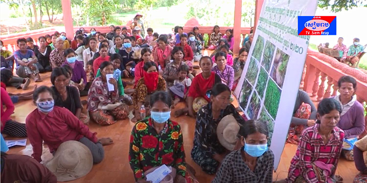 ប្រជាកសិករងាយរងគ្រោះដែលរងផលប៉ះពាល់ពីជំងឺកូវីដ១៩ ចំនួនជាង៨ពាន់គ្រួសារ ក្នុងស្រុកស្រីស្នំ បានទទួលគ្រាប់ពូជបន្លែដោយឥតគិតថ្លៃ ពីប្រព័ន្ឋស្បៀងបំរុងកម្ពុជា