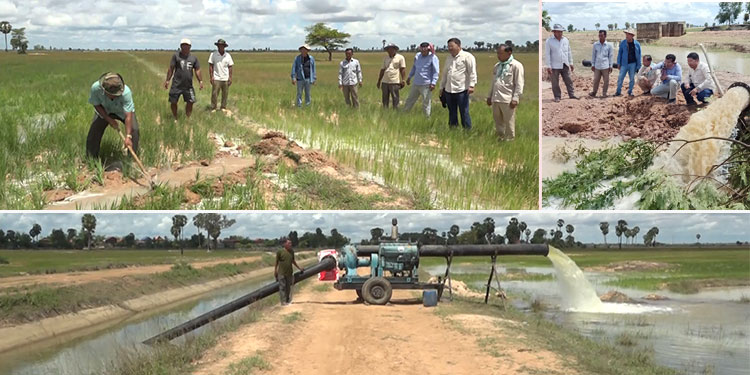 ផ្សារបន្លែសុវត្ថិភាពសម្រាប់ម្ហូបអាហារដែលរៀបចំនៅក្នុងក្រុងសៀមរាប កំពុងទទួលការចាប់អារម្មណ៍ពីសំណាក់ប្រជាពលរដ្ឋ