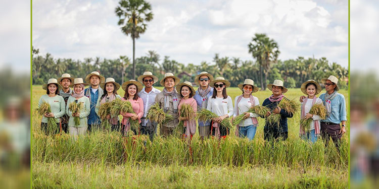 ស្រុកបន្ទាយស្រី៖ស្រែសង្គមជុំទី១ អាចទទួលបានទិន្នផលស្រូវ១០០តោនសម្រាប់ជួយប្រជាពលរដ្ឋមានជីវភាពខ្វះខាតក្នុងស្រុក