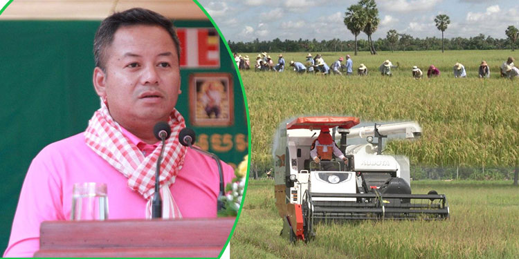 អភិបាលខេត្តសៀមរាប បង្ហាញថាកសិកម្មក្នុងខេត្តមានការរីកចម្រើន តែប្រព័ន្ធស្រោចស្រពនិងបច្ចេកទេសនៅតែជាបញ្ហា