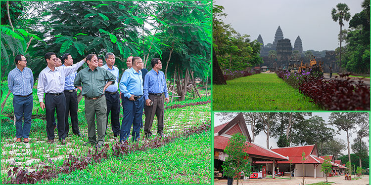 រដ្ឋមន្ត្រីក្រសួងព័ត៌មាន សម្ដែងការកោតសរសើរចំពោះអាជ្ញាធរជាតិអប្សរា ក្នុងការរៀបចំកែលម្អបរិស្ថានតំបន់ប្រាសាទអង្គរ