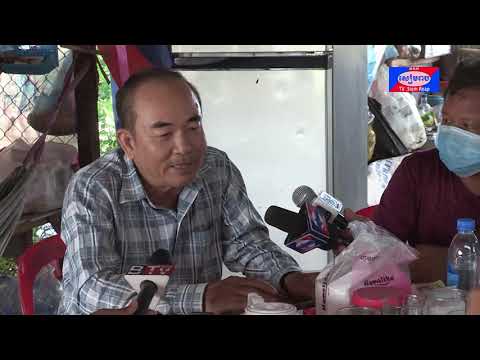 ដង្កូវរុយទាហានខ្មៅ ប្រភពប្រតេអ៊ីនធម្មជាតិសម្រាប់ផលិតចំណីសត្វ និងអាចធ្វើជាអាហាររបស់មនុស្ស