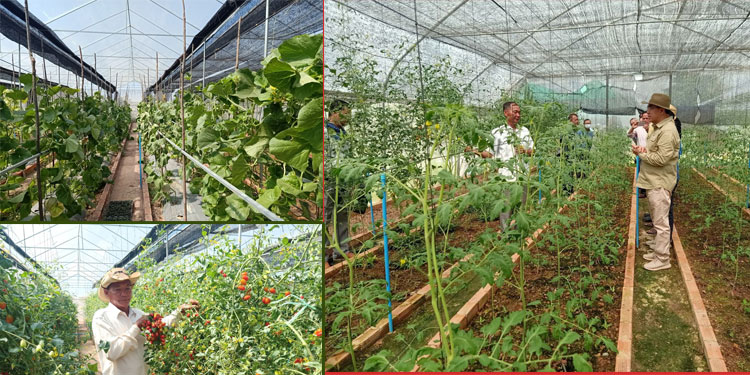 គិតមកដល់ឆ្នាំ២០២០ កម្មវិធី ASPIRE ផ្ដល់ផ្ទះសំណាញ់សរុបចំនួន២៨ ដល់កសិករដាំបន្លែធន់នឹងអាកាសធាតុក្នុងខេត្តសៀមរាប