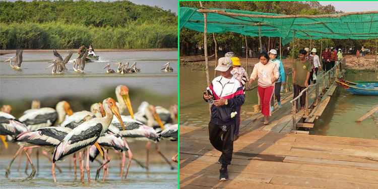 តំបន់អភិរក្សត្រីមេពូជ និងសត្វស្លាបបឹងពារាំងកំពុងក្លាយជាតំបន់ទេសចរណ៍ធម្មជាតិដែលមានភាពទាក់ទាញដល់អ្នកទេសចរ