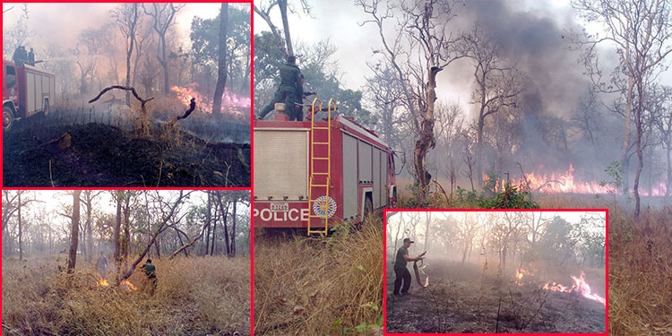 ភ្លើងឆេះព្រៃចម្ការពូជឈើធ្នុង អស់ប្រមាណ២០ហិកតានៅស្រុកស្វាយលើ ខេត្តសៀមរាប