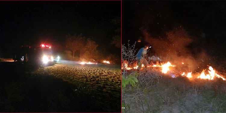 ករណីអគ្គិភ័យឆេះព្រៃនិងស្មៅនៅស្រុកប្រាសាទបាគងត្រូវបានសមត្ថកិច្ច ចាត់ការពន្លត់ទាន់ពេលវេលា 