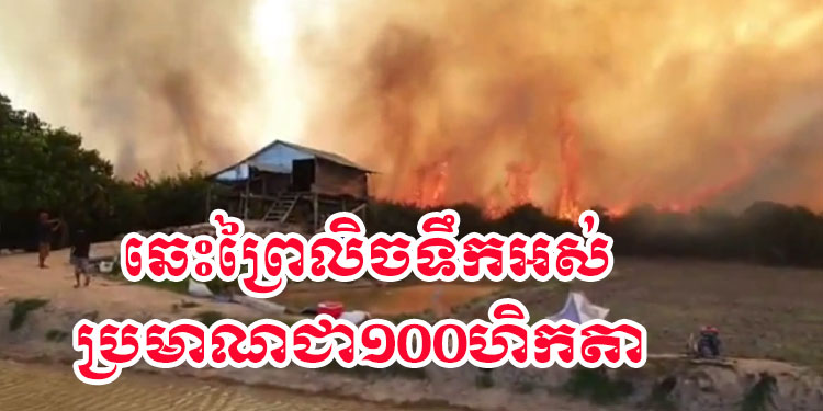 ព្រៃលិចទឹកក្នុងតំបន់អភិរក្សត្រីមេពូជបឹងពារាំង ភ្លើងឆាបឆេះអស់ប្រមាណ១០០ហិកតា សង្ស័យមានគេលួចដុត