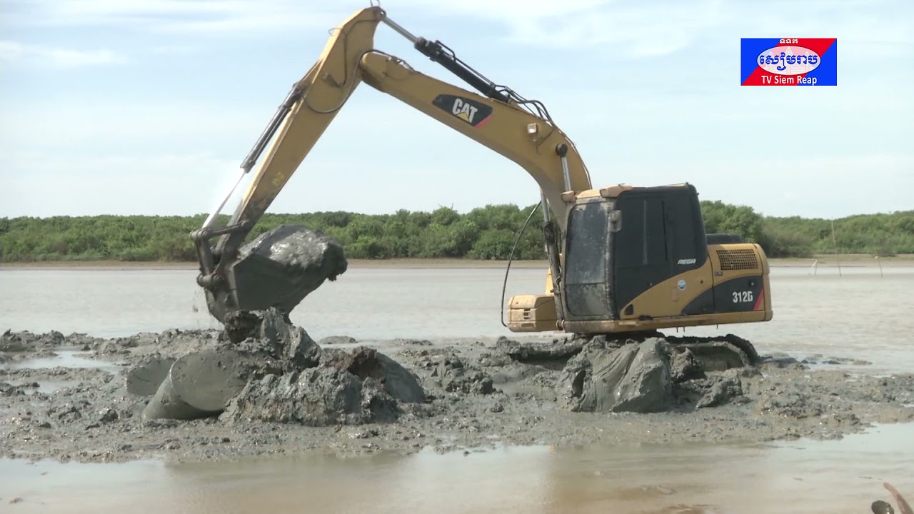 ទោះបីត្រីមេពូជចម្រុះនៃតំបន់អភិរក្សបឹងពារាំងកំពុងត្រូវបានជួយសង្គ្រោះ ប៉ុន្តែបើសិនជាគ្មានភ្លៀងធ្លាក់នោះទេ ត្រីទាំងអស់ក៏នៅតែប្រឈមនឹងគ្រោះថ្នាក់