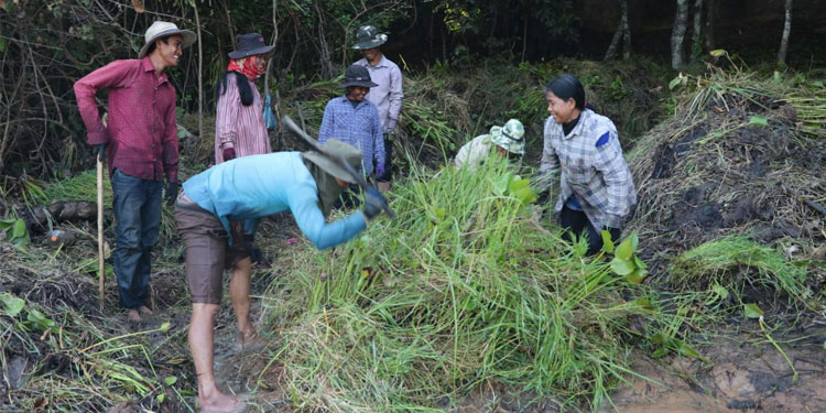 មន្ត្រីជំនាញបង្ហាញថាបើគ្មានឧបស័គ្គទេការងារស្តារពើកនៅកសិន្ធុខាងលិចនៃក្រុងអង្គរធំ នឹងរួចរាល់ក្នុងរយៈពេលបីខែខាងមុខ