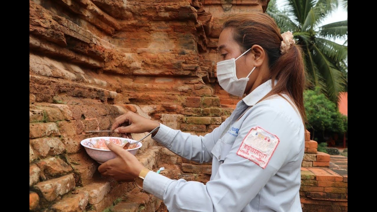 អ្នកជំនាញនៃអាជ្ញាធរជាតិអប្សរាបង្ហាញថា កំបោរបាយអ មានតួនាទីសំខាន់ណាស់ក្នុងការជួសជុលប្រាសាទធ្វើពីឥដ្ឋ