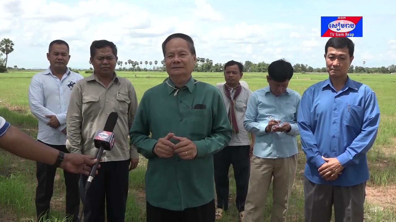 មន្ត្រីជាន់ខ្ពស់ក្រសួងកសិកម្ម រំពឹងថាសន្ទុះការដាំដុះដំណាំស្រូវក្នុងខេត្តសៀមរាប នឹងឡើងដល់៣០ភាគរយ នៅសប្ដាហ៍ក្រោយ