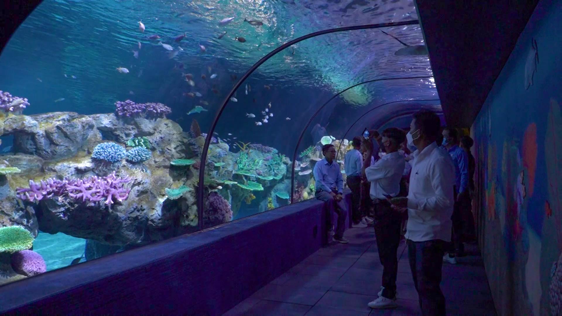 សួនសិប្បនិមិត្តឬអាងពិព័រណ៌ត្រីទឹកសាប ទឹកប្រៃ របស់ក្រុមហ៊ុនអង្គរ វ៉ាយដ៍ឡាយហ្វ៍ និងអឹឃ្វារៀម ចាប់ផ្តើមបើកដំណើរការជាផ្លូវការហើយ 