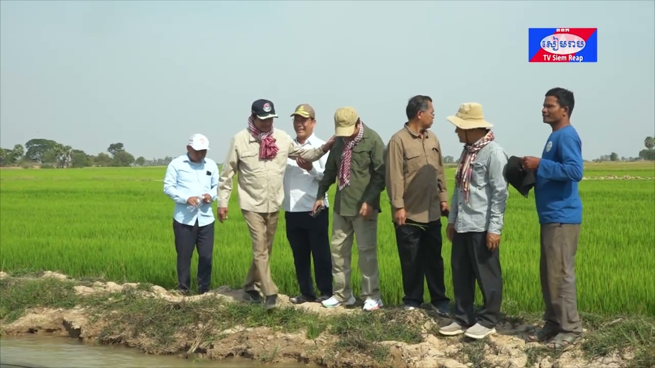 ឯកឧត្ដម ទេសរដ្ឋមន្រ្តី គន់ គីម ដឹកនាំមន្ត្រីជំនាញចុះពិនិត្យការបូកទឹកជួយសង្គ្រោះស្រូវប្រជាកសិករក្នុងស្រុកជីក្រែង ខេត្ដសៀមរាប