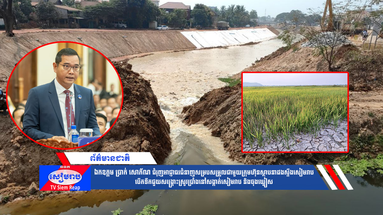 ឯកឧត្តម ប្រាក់ សោភ័ណ ជំរុញអាជ្ញាធរជំនាញសម្របសម្រួលជាមួយក្រុមហ៊ុនស្ថាបនាដងស្ទឹងសៀមរាប បើកទឹកជួយសង្គ្រោះស្រូវប្រាំងនៅសង្កាត់សៀមរាប និងចុងឃ្នៀស