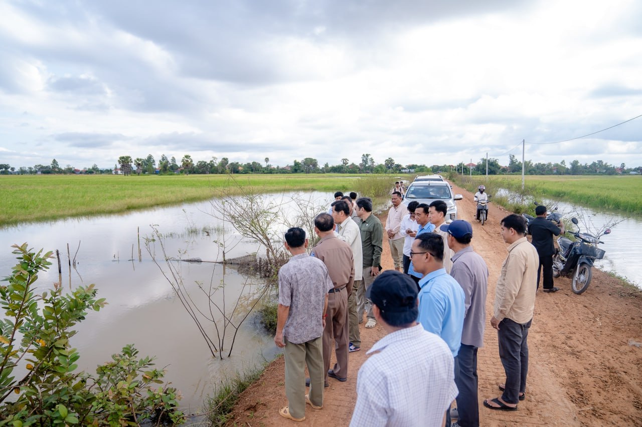 ដំណាំស្រូវជិត ១ម៉ឺនហិកតា ក្នុងស្រុកចំនួន៦ នៃខេត្តសៀមរាប ទទួលរងផលប៉ះពាល់ដោយសារជំនន់ទឹកភ្លៀង