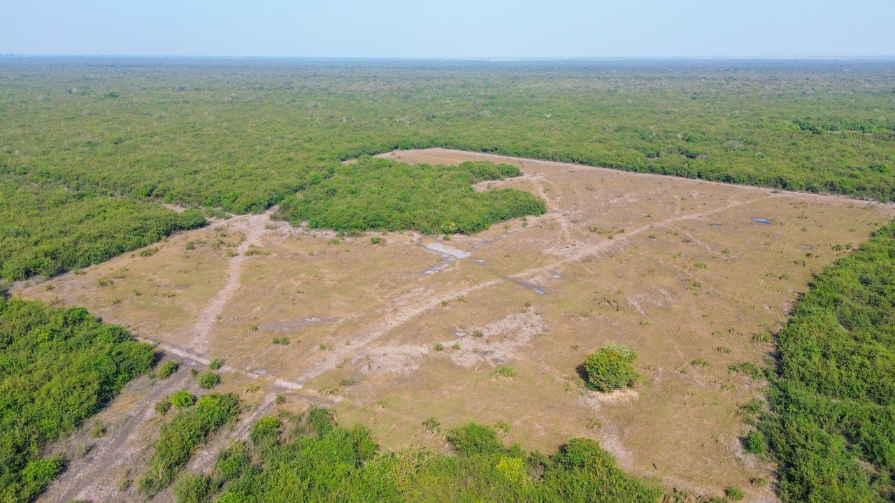 អាជ្ញាធរទន្លេសាប ចុះពិនិត្យស្ថានភាពដីព្រៃលិចទឹកតំបន់៣ ក្នុងស្រុកជីក្រែង ខេត្តសៀមរាប បន្ទាប់ពីមានការទប់ស្កាត់ការទន្ទ្រានយ៉ាងមានប្រសិទ្ធភាព